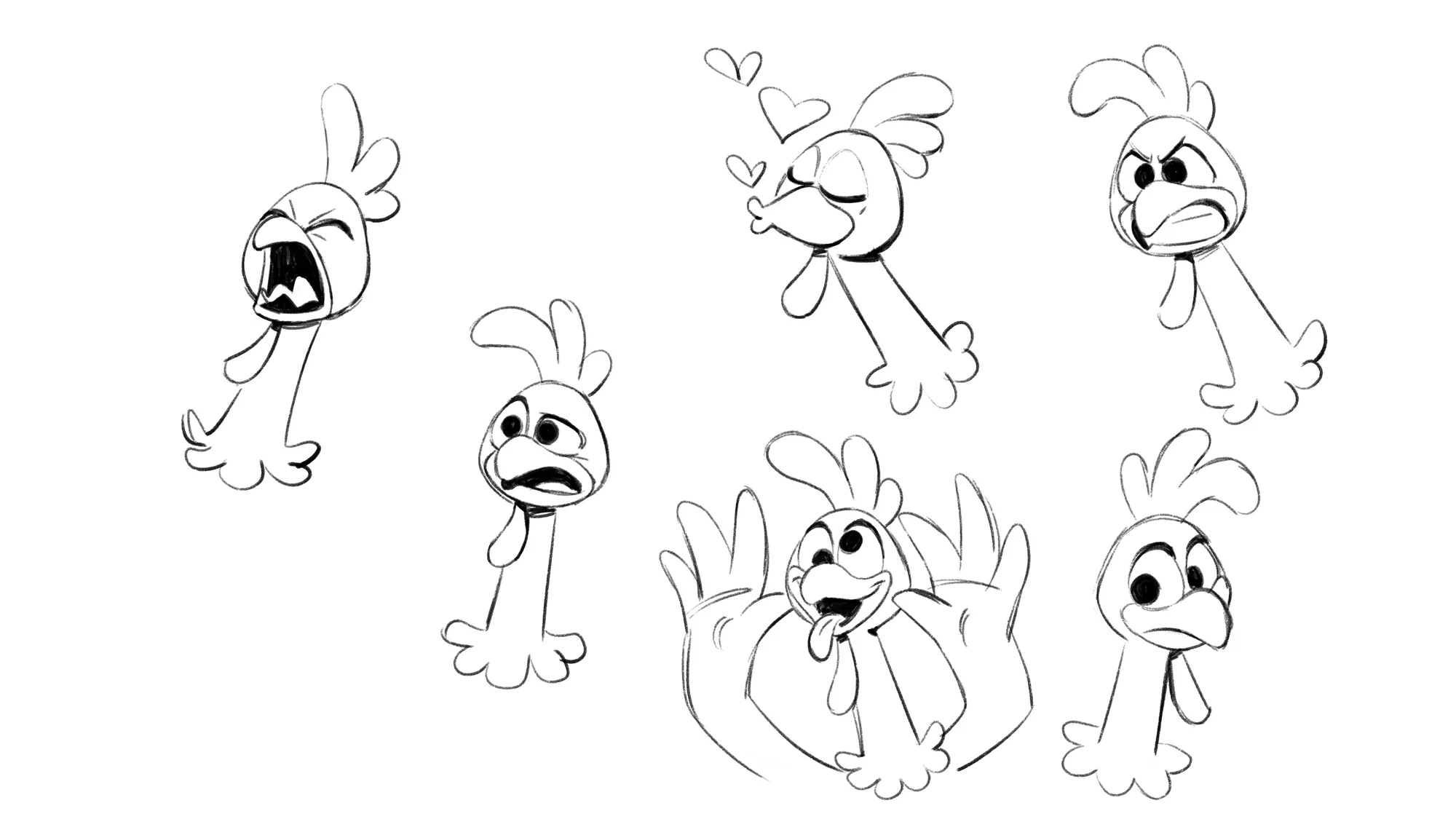 Galo Carijó expression studies